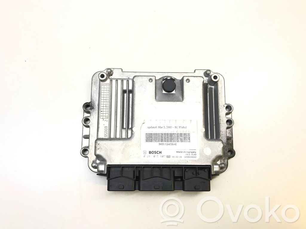 Ford Focus Engine control unit/module 