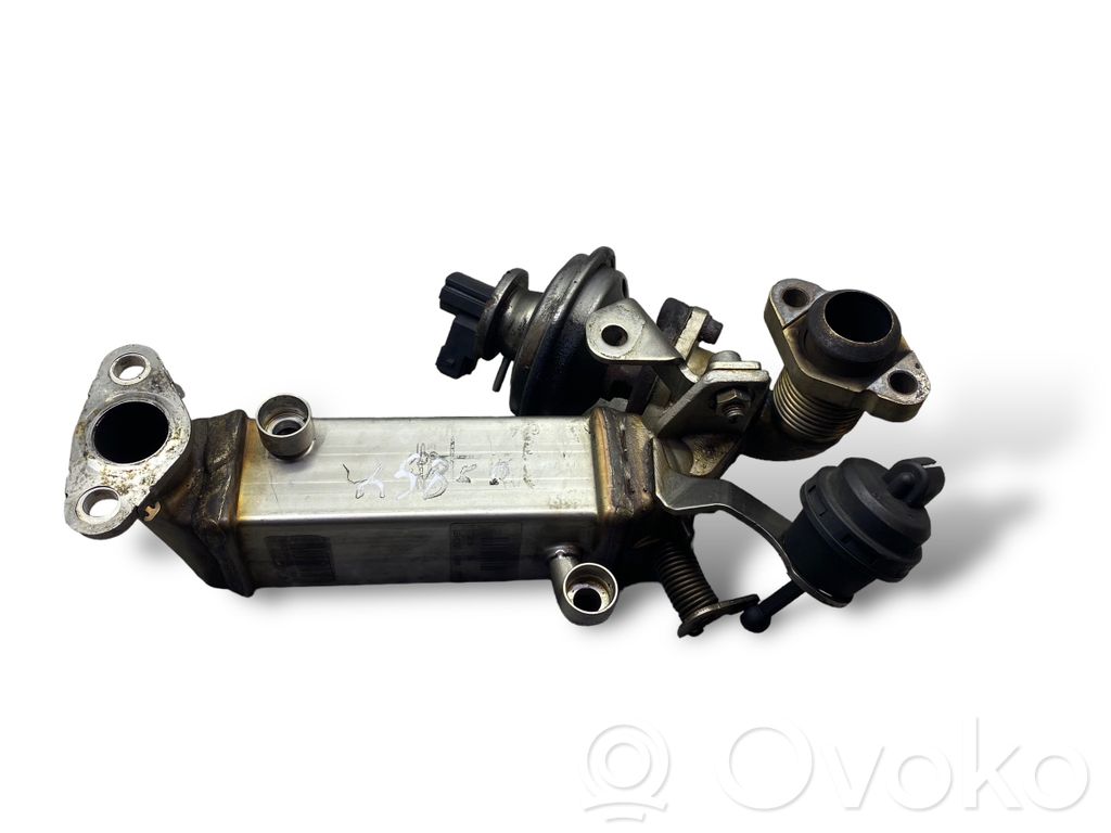 BMW 5 E60 E61 EGR dzesētājs 