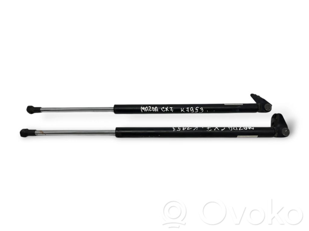 Tailgate/trunk strut/damper