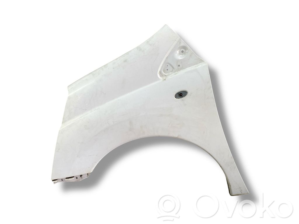 Fender
