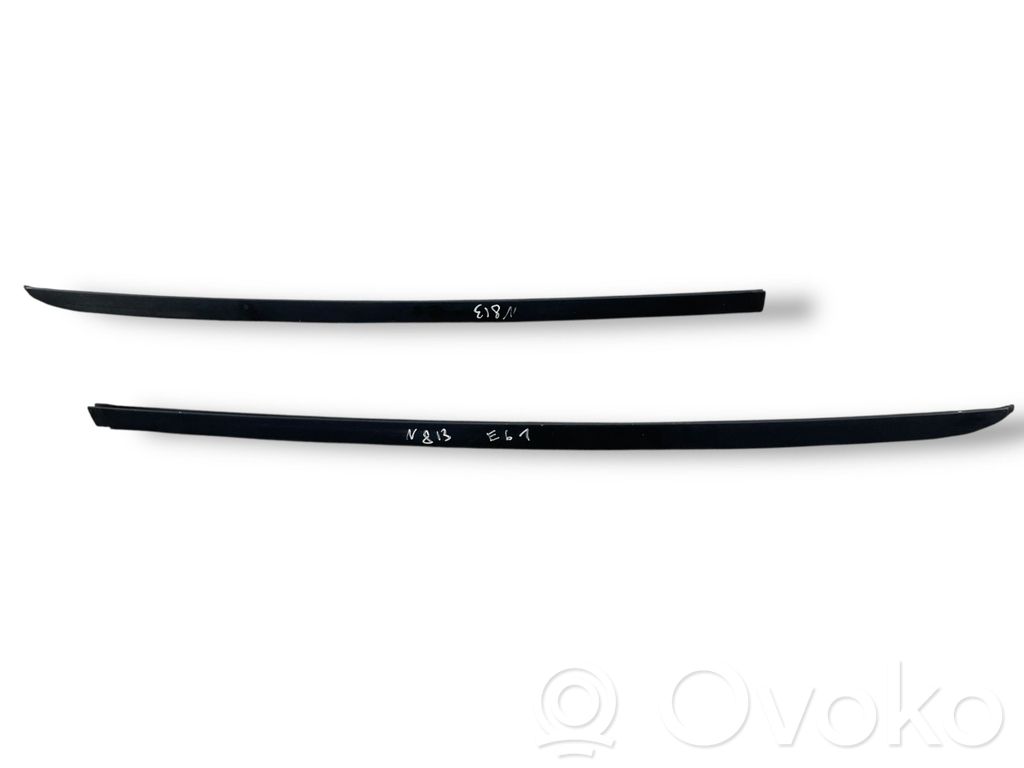 Windshield trim