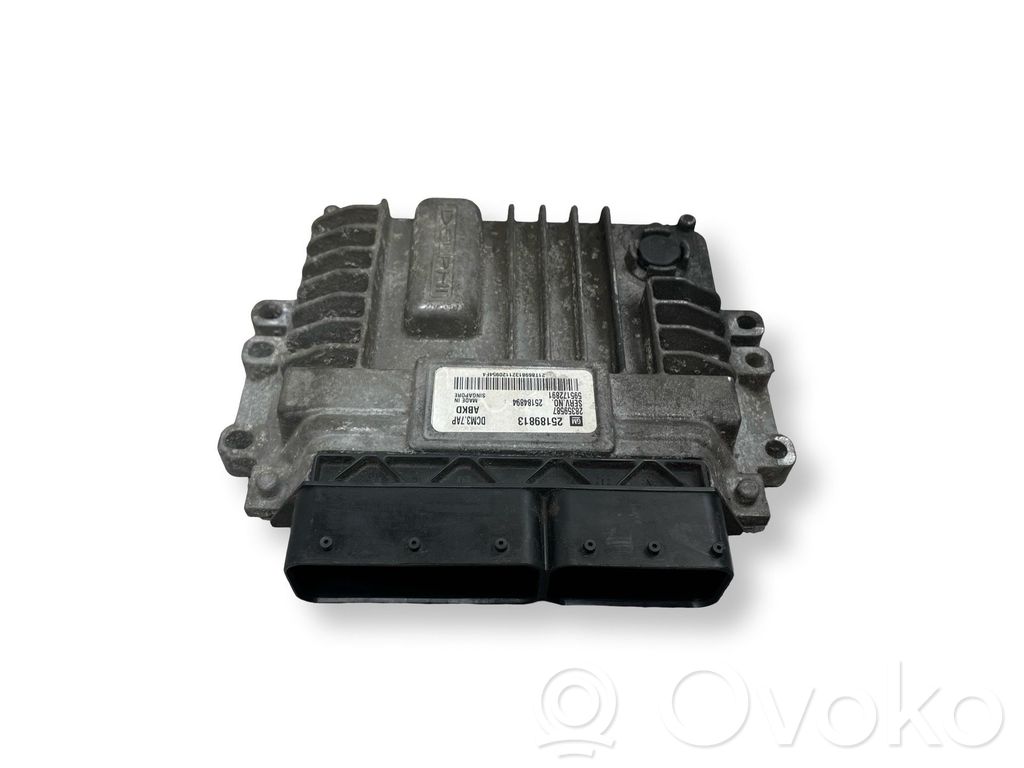 Opel Antara Engine control unit/module 