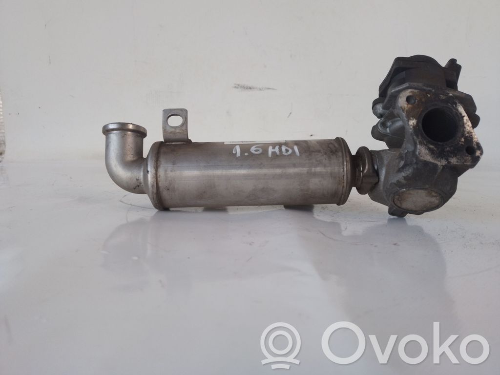 Citroen C5 Valvola di raffreddamento EGR 