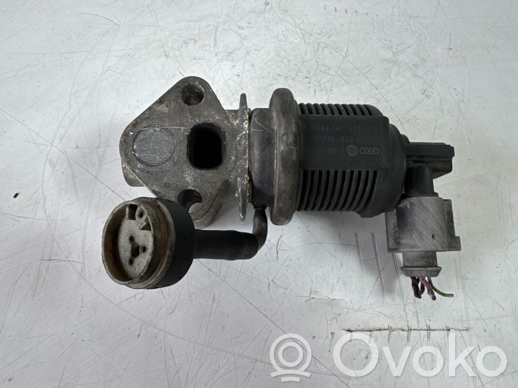 Seat Ibiza III (6L) Zawór EGR 