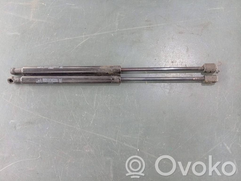 Volkswagen PASSAT B6 Front bonnet/hood damper/strut 
