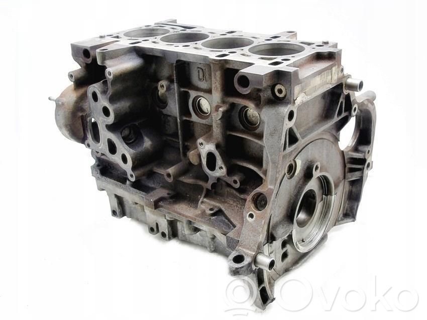 Engine block   73500429