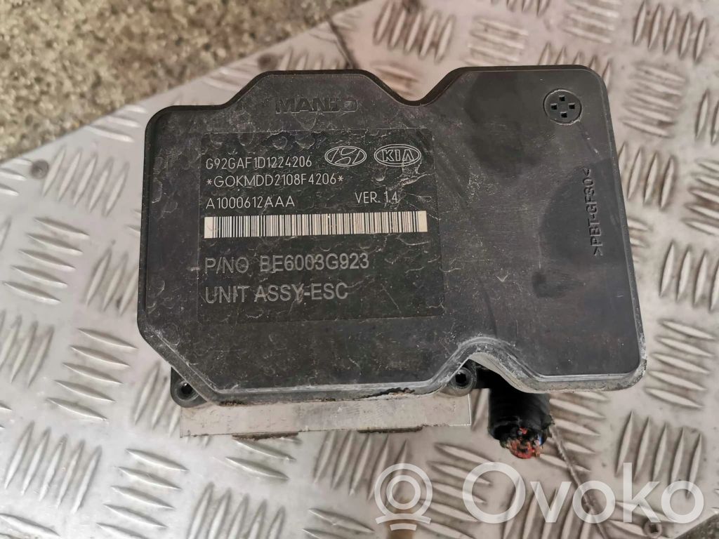 ABS Pump   589201W705,589201W705