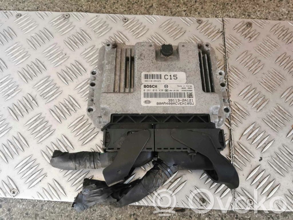 Engine control unit/module   391132A121