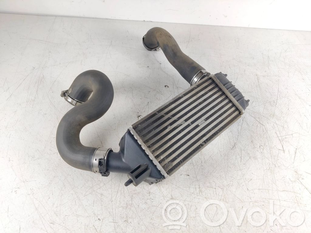 Intercooler radiator   1440010980,899950000