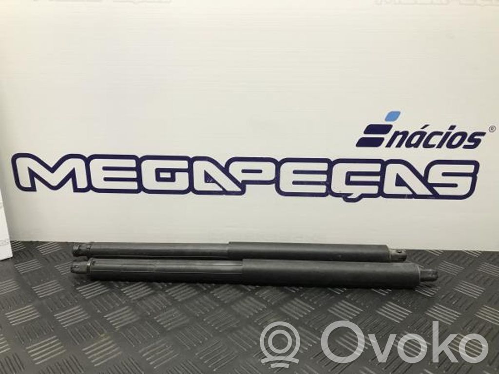 BMW X5M E70 Tailgate/trunk strut/damper 