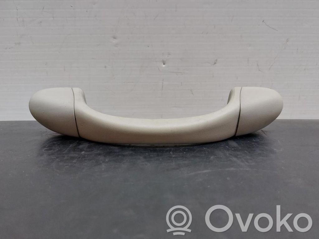Asidero interior delantero   12789490