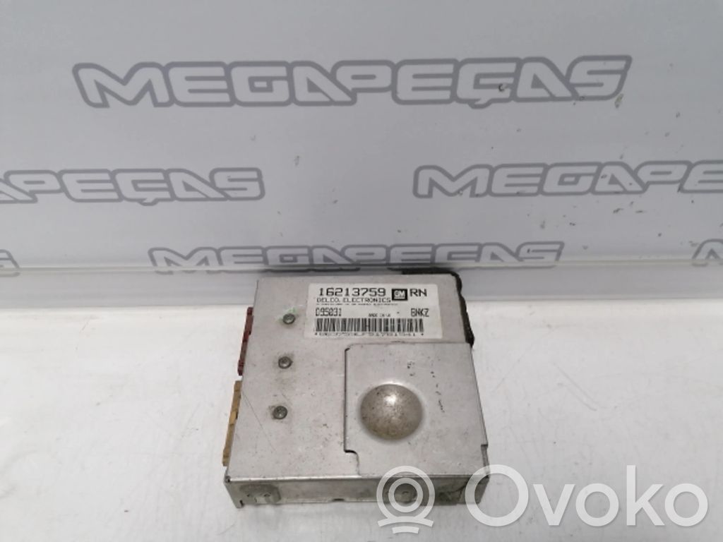 Engine control unit/module   166213759,RN
