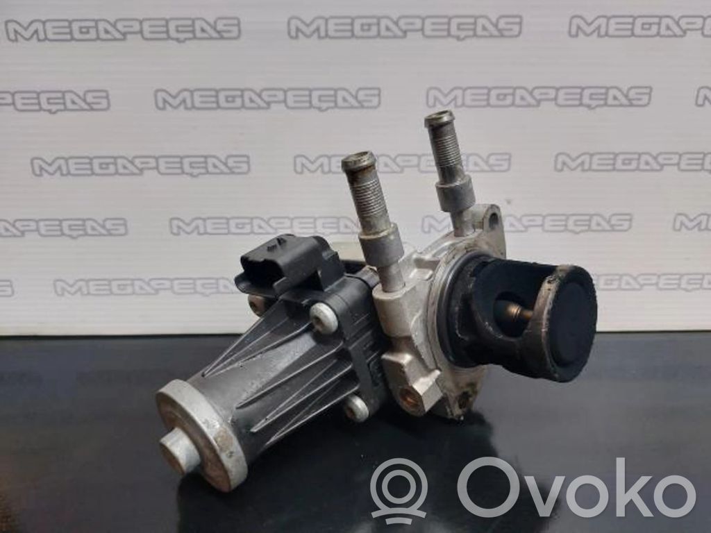EGR-venttiili   9829870080,50563924
