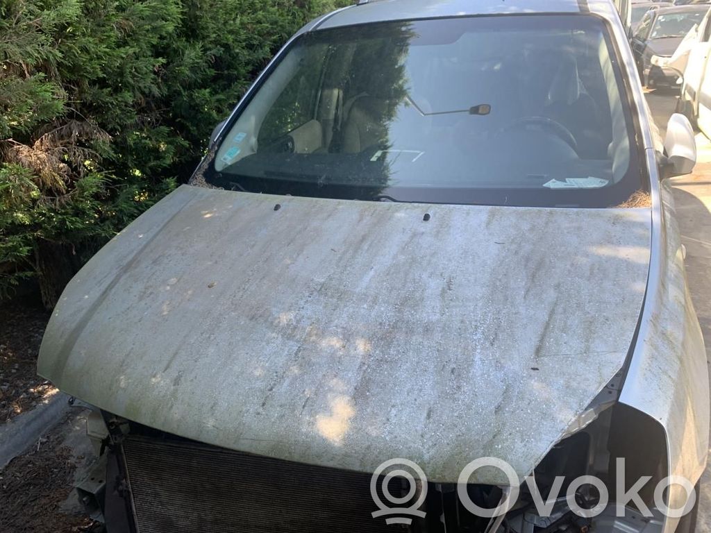 Dzinēja pārsegs (vāks)   664004D010
