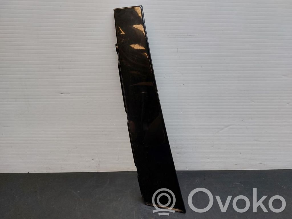 Volvo S60 Rivestimento della portiera anteriore (modanatura) 