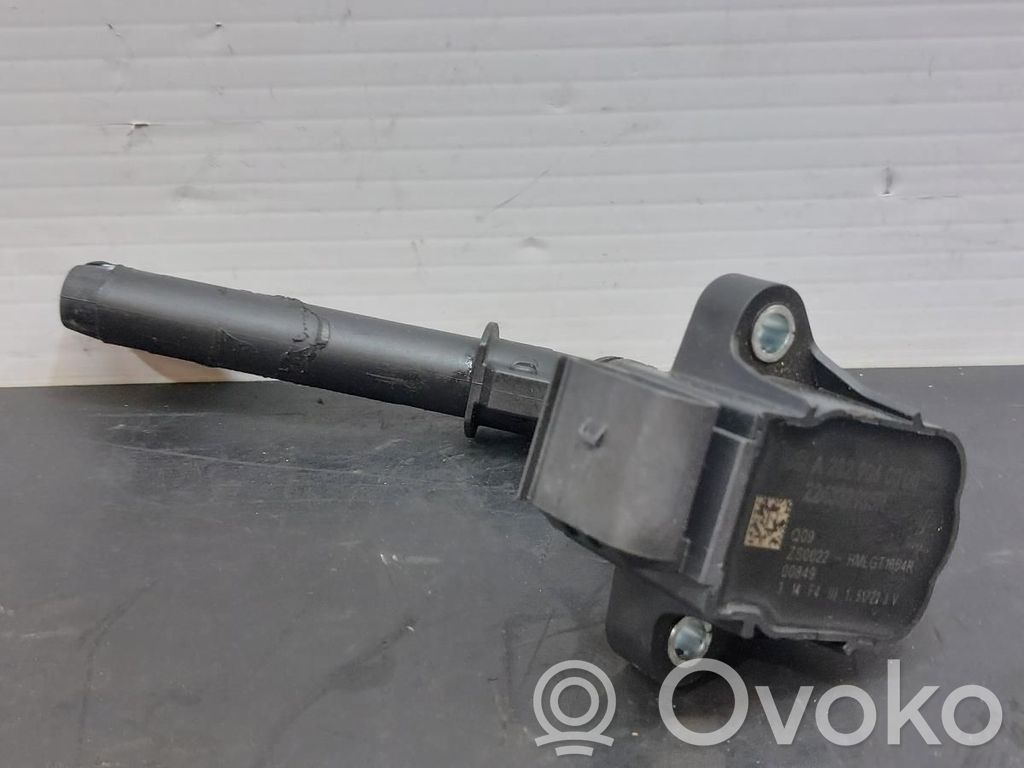 Bobine d'allumage haute tension   224332935R