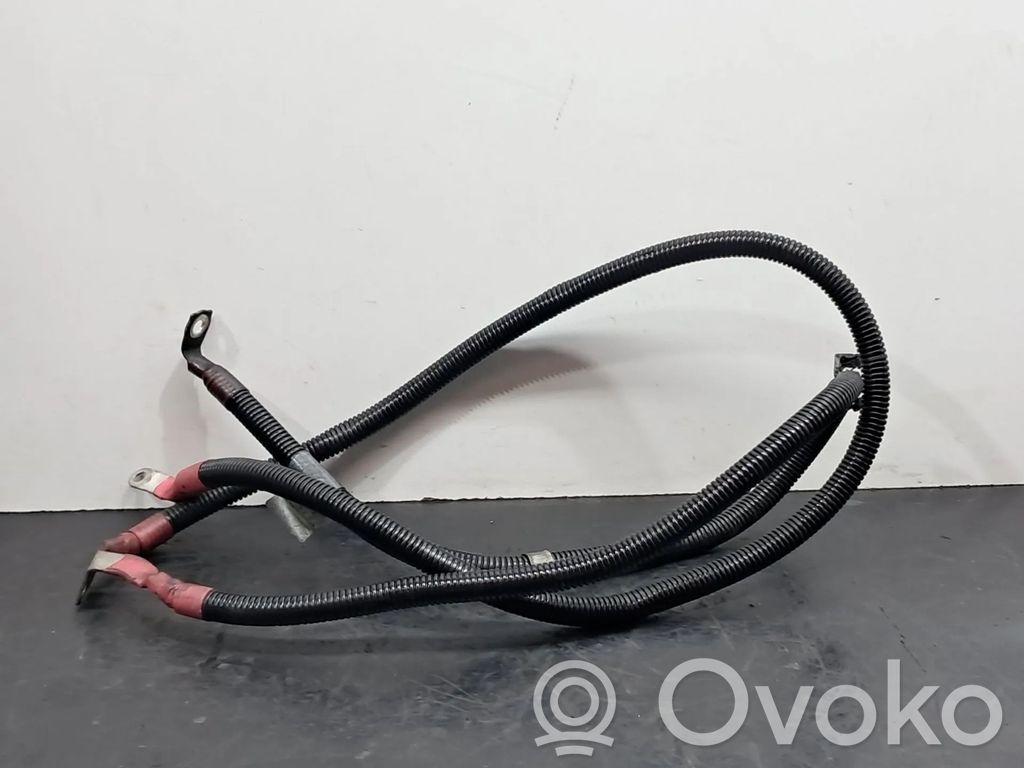 Cableado positivo   7800164,12427800164,7800163