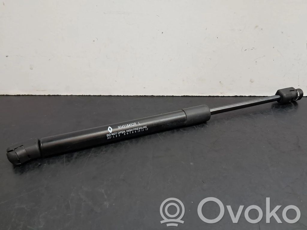 Tailgate/trunk strut/damper   904518452R