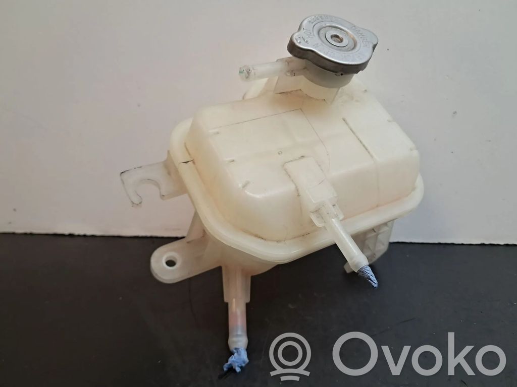 Depósito del refrigerante   217104297R