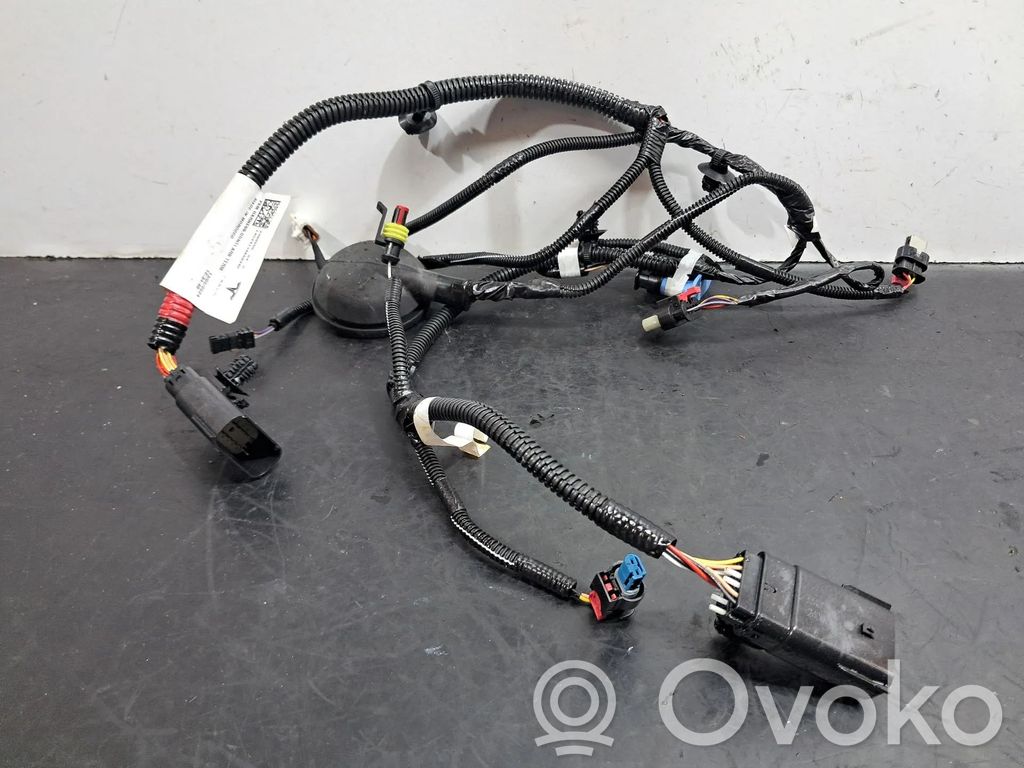 Engine installation wiring loom   248905004C,248905004C