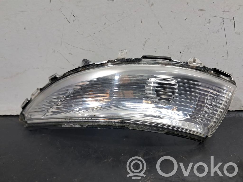 Spiegelblinker   2222000190