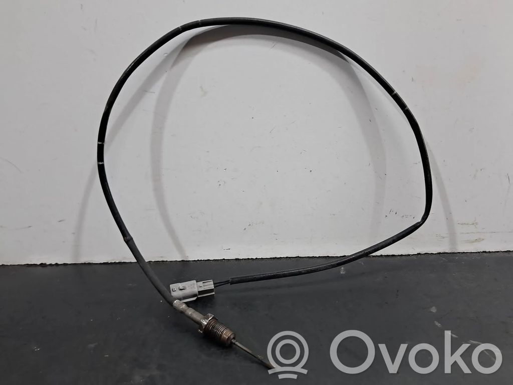 Abgastemperatursensor   226406229R