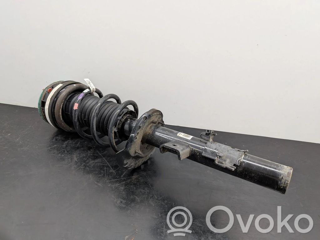 Land Rover Range Rover Evoque L538 Ammortizzatore posteriore 