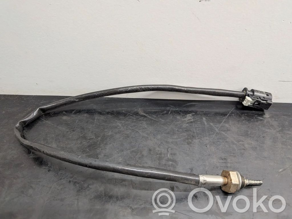 BMW 3 F30 F35 F31 Sensore della temperatura esterna 