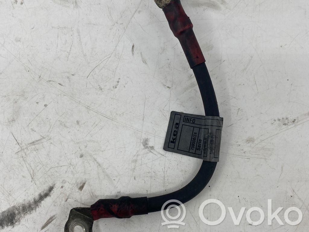 Plusa vads (akumulatora)   2247665,E0265LB