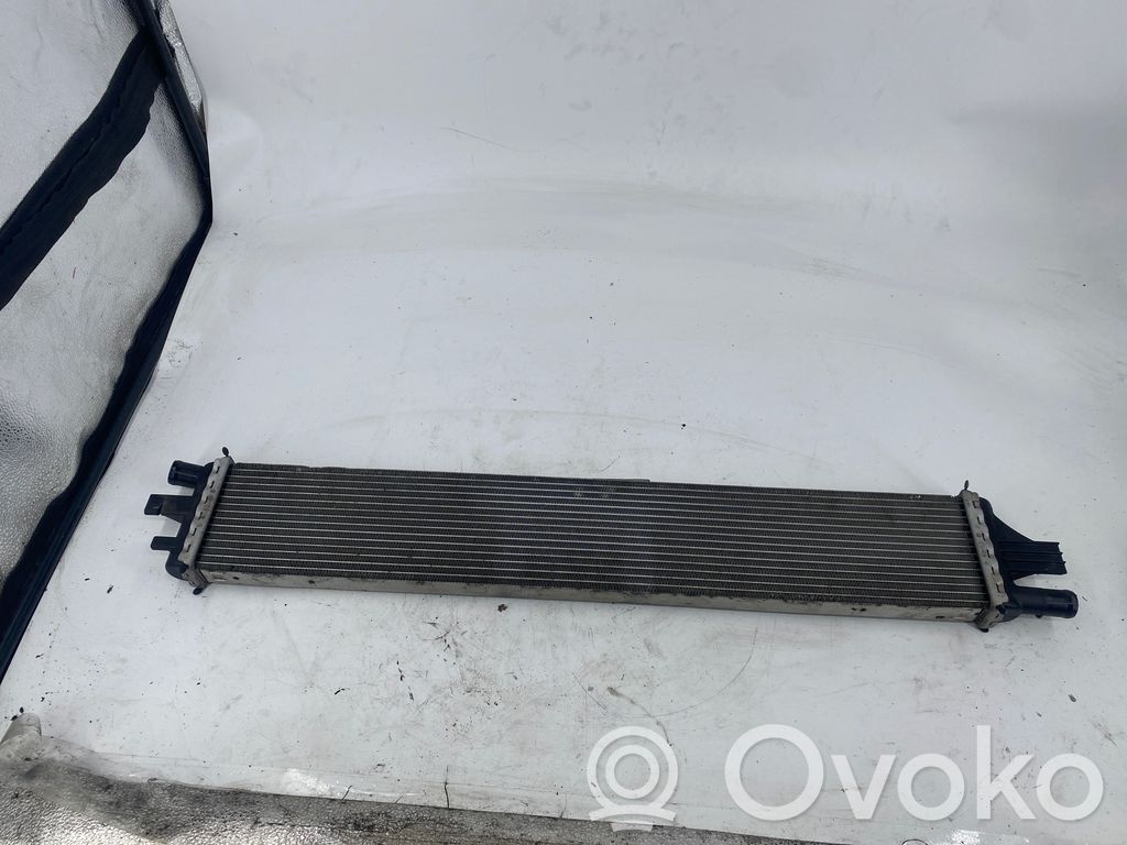 Optional radiator   T1077004,214C10001R
