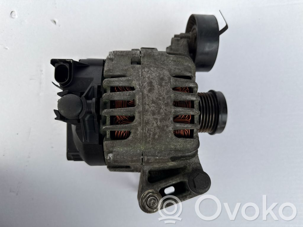 Generatorius   BV6N10300AA,30659120,311019725