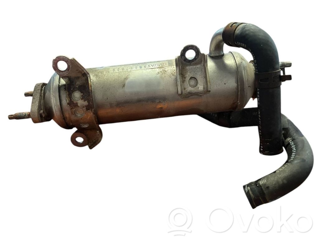 Opel Antara Chłodnica spalin EGR 