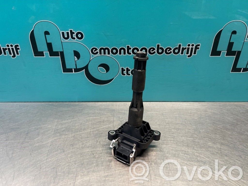 High voltage ignition coil   1354489085,0221504029,0221504029,1354489085,140421