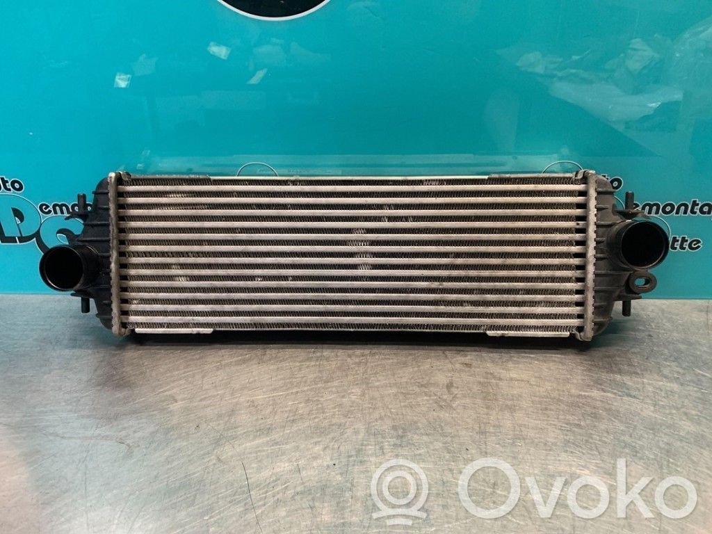 Renault Trafic II (X83) Intercooler radiator 