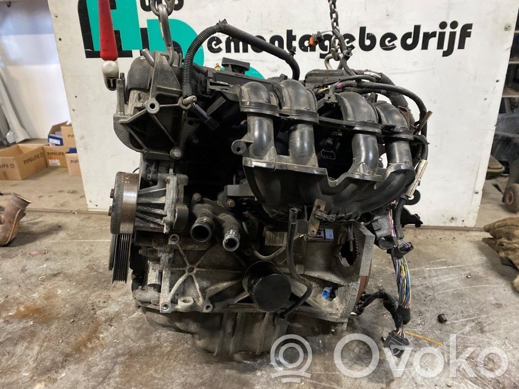 Motor