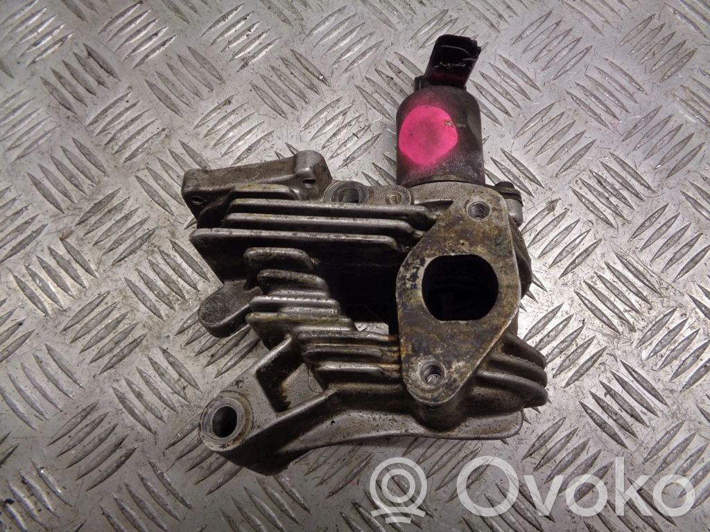 Renault Scenic I Zawór EGR 