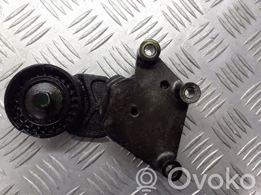 Volvo V50 Rolă întinzător curea alternator 