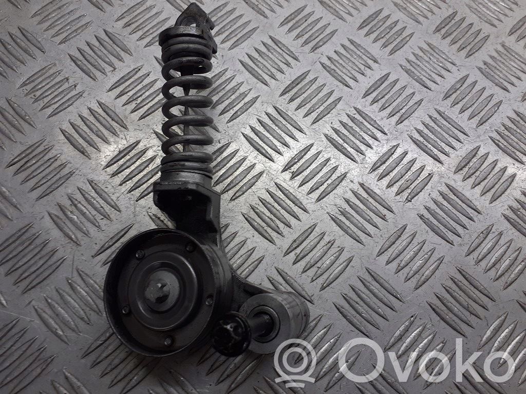 Opel Corsa D Generatoriaus diržo atraminis guolis 