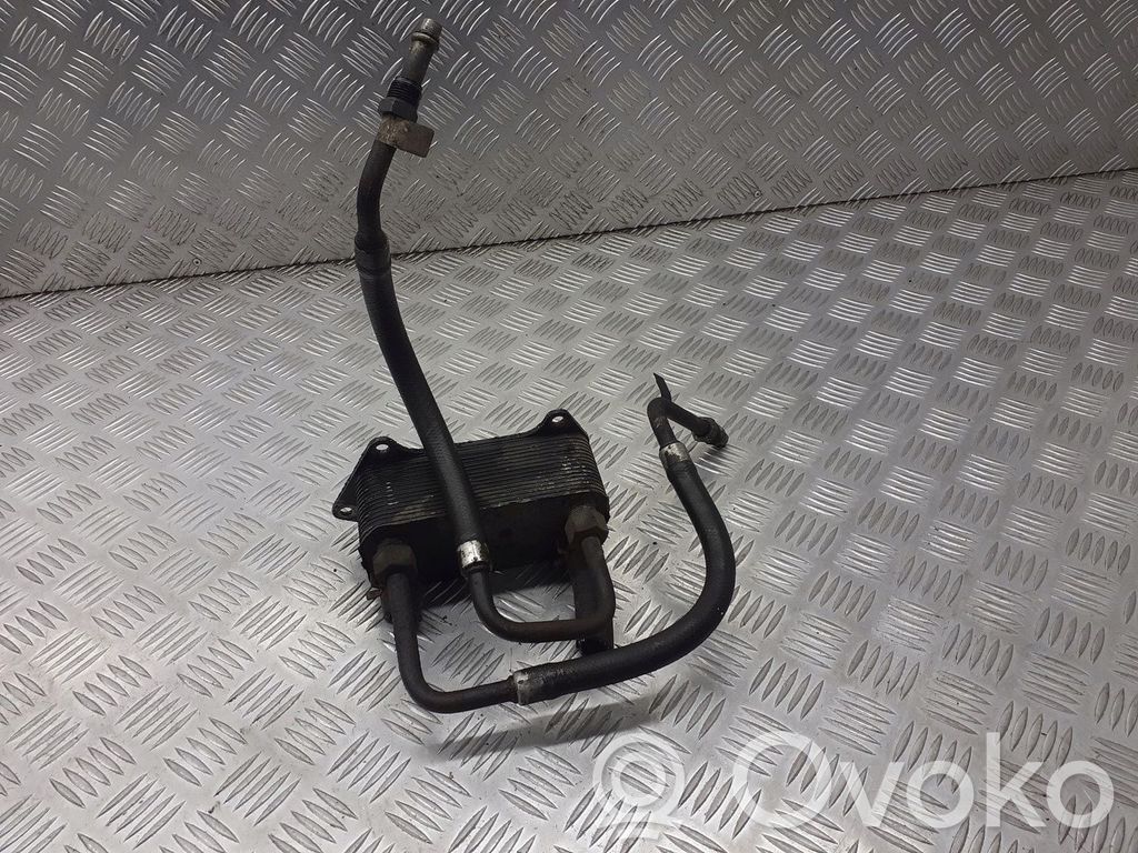 Land Rover Freelander Răcitor motor vehicul electric 