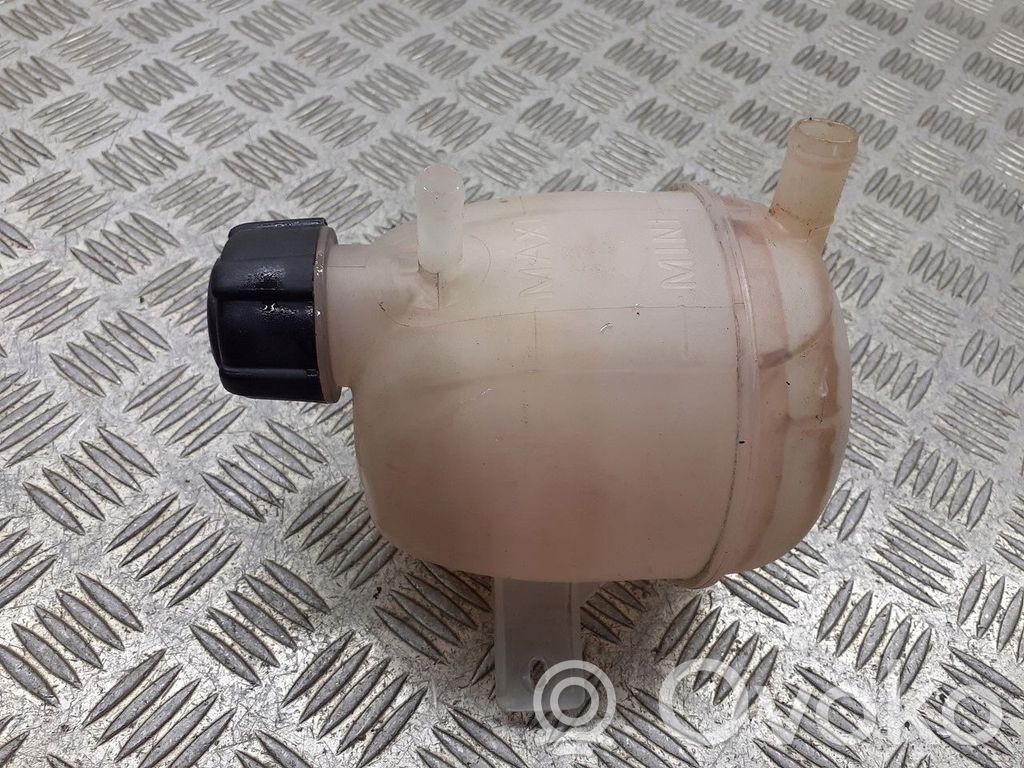 Dacia Sandero Ausgleichsbehälter Kühlwasser
