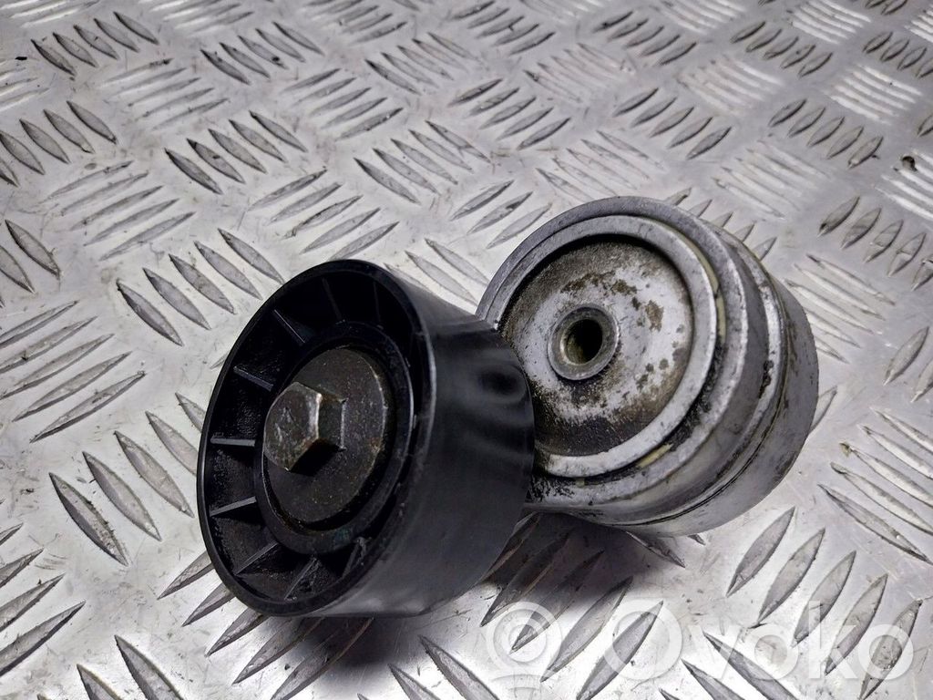 Alfa Romeo 147 Generatoriaus diržo atraminis guolis 
