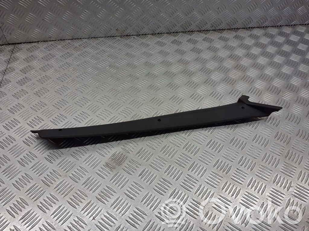Listón embellecedor de la puerta delantera (moldura)