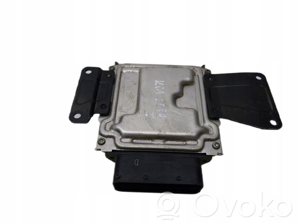 Unidad de control/módulo ECU del motor   391192B340