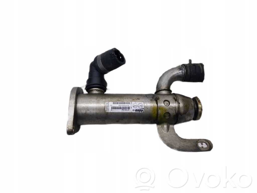 Ford C-MAX I Valvola di raffreddamento EGR