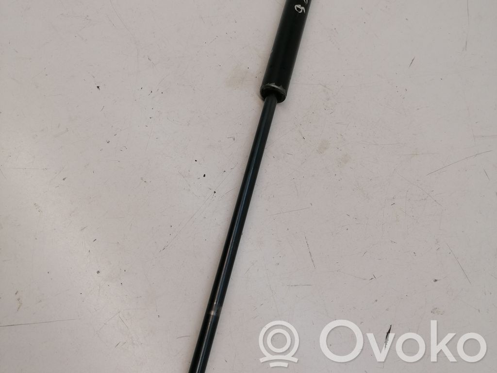 Ford Transit Tailgate/trunk strut/damper 
