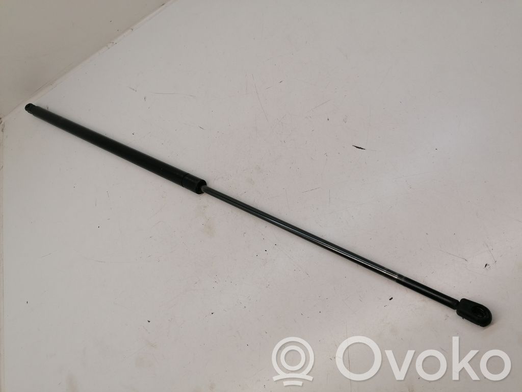Tailgate/trunk strut/damper   1C15V406A10EA