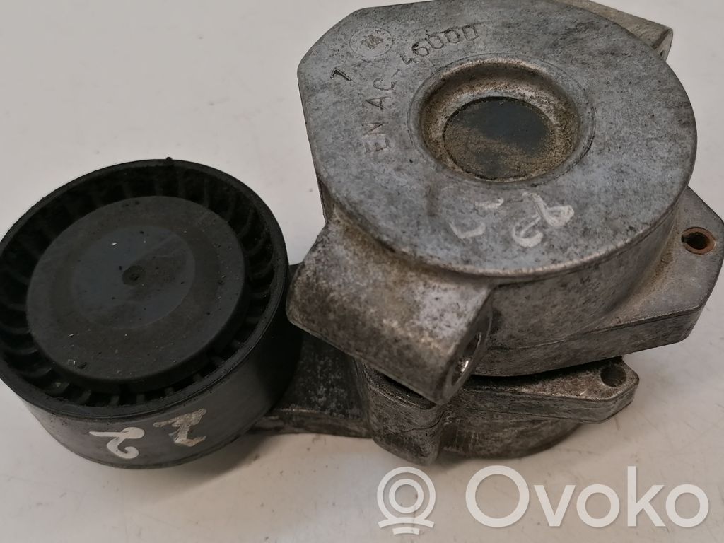 Ford Transit Generatoriaus diržo įtempėjas 