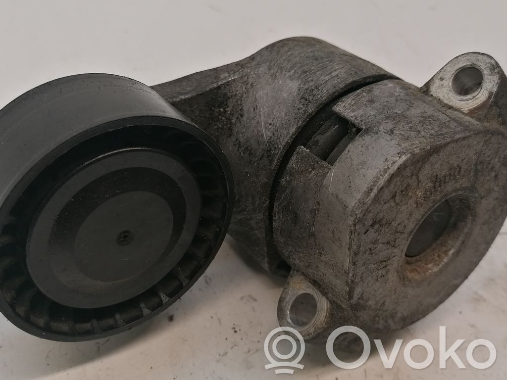 Ford Transit Paskirstymo diržo/ grandinės įtempėjas 