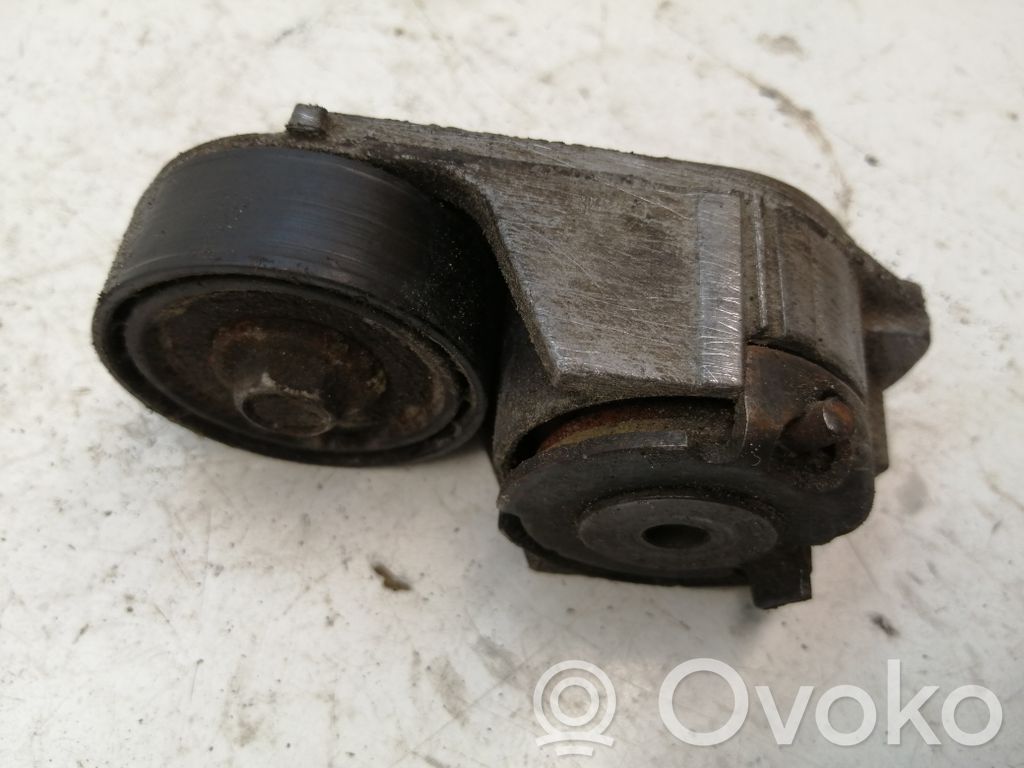 Ford Transit Generatoriaus diržo įtempėjas 