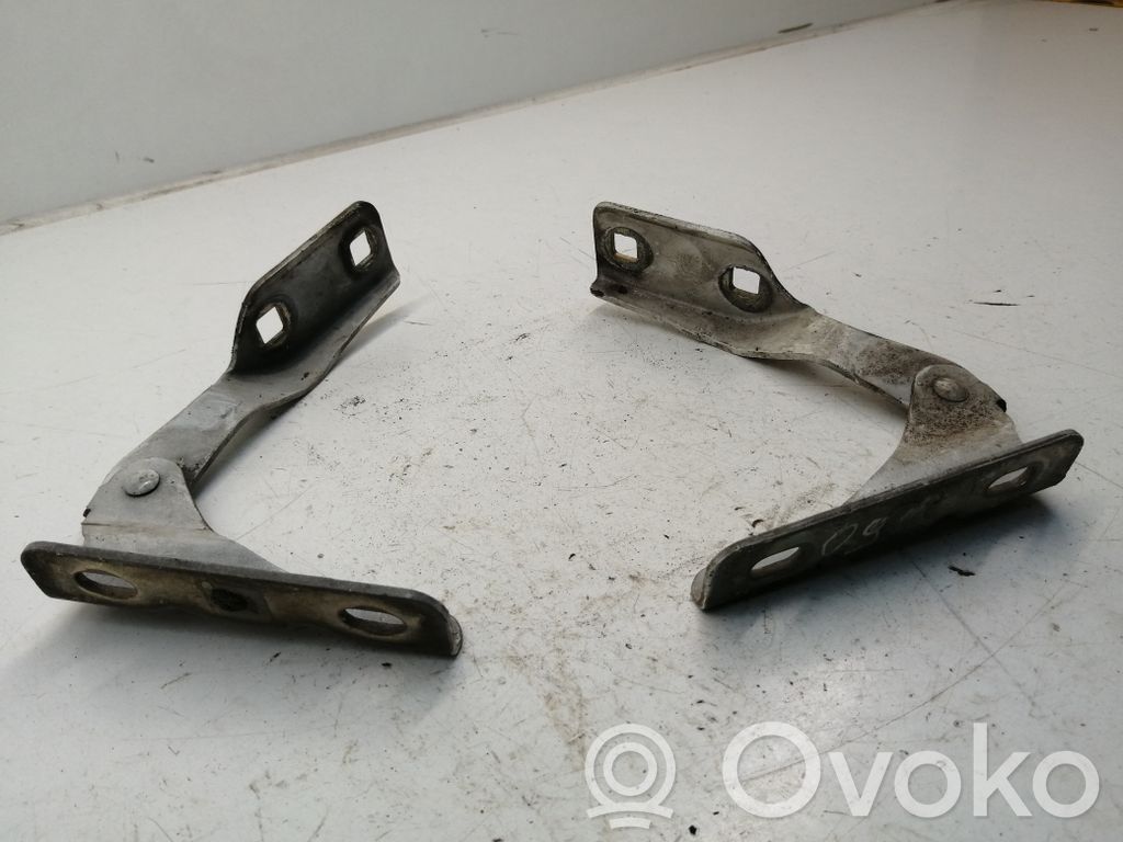 Ford Transit Engine bonnet/hood hinges 